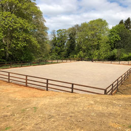 Horse Arena Gallery 5