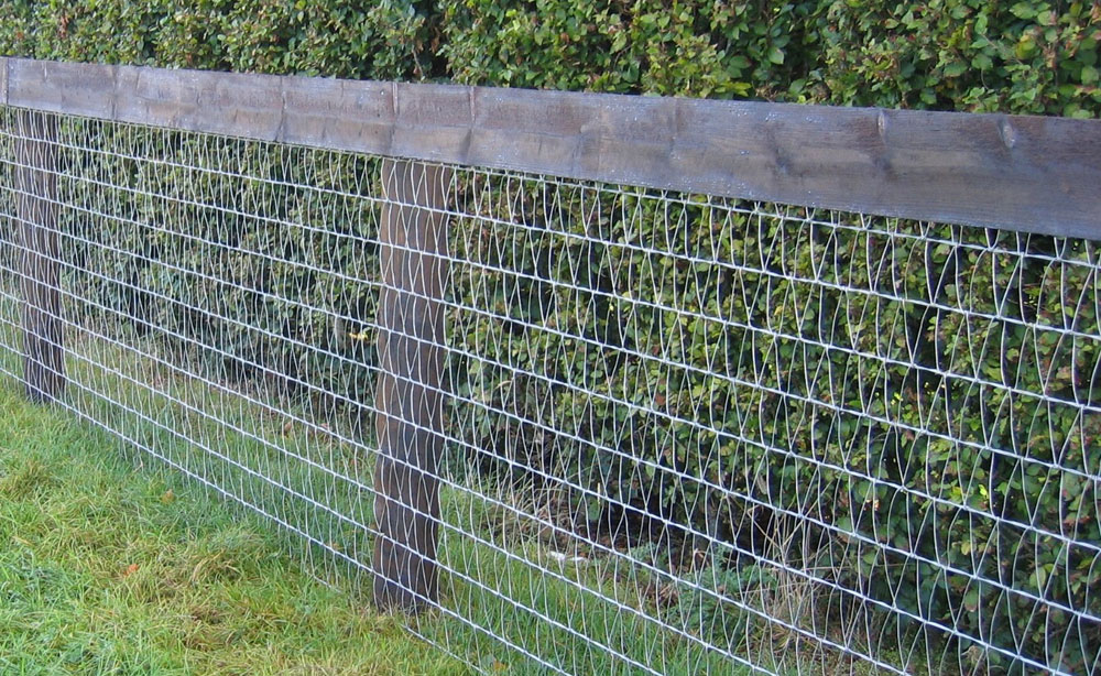 Horse Fencing (Keepsafe)