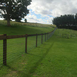 Horse Fencing Gallery 11