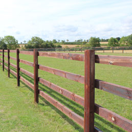 Horse Fencing Gallery 16