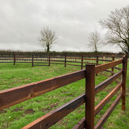 Horse Fencing Gallery 14