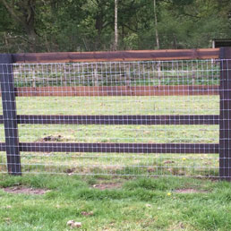 Horse Fencing Gallery 19