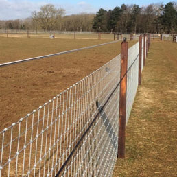 Horse Fencing Gallery 7