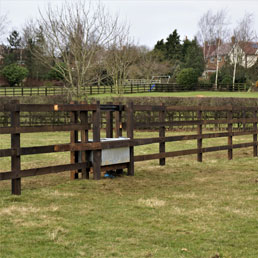 Horse Fencing Gallery 20