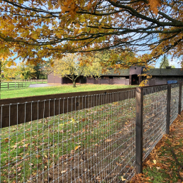 Horse Fencing Gallery 4