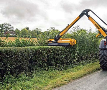 Hedge Cutting